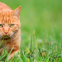 test item 2!@#/.йцук